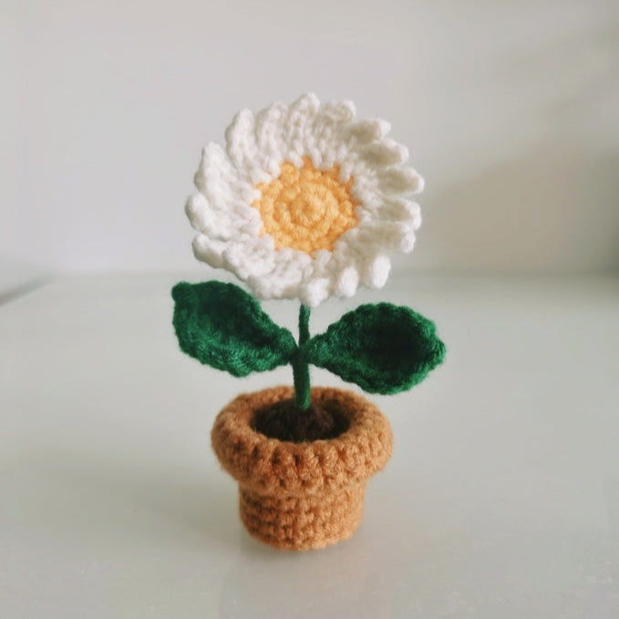 Combo 3 The Little Flower Crochet Pattern