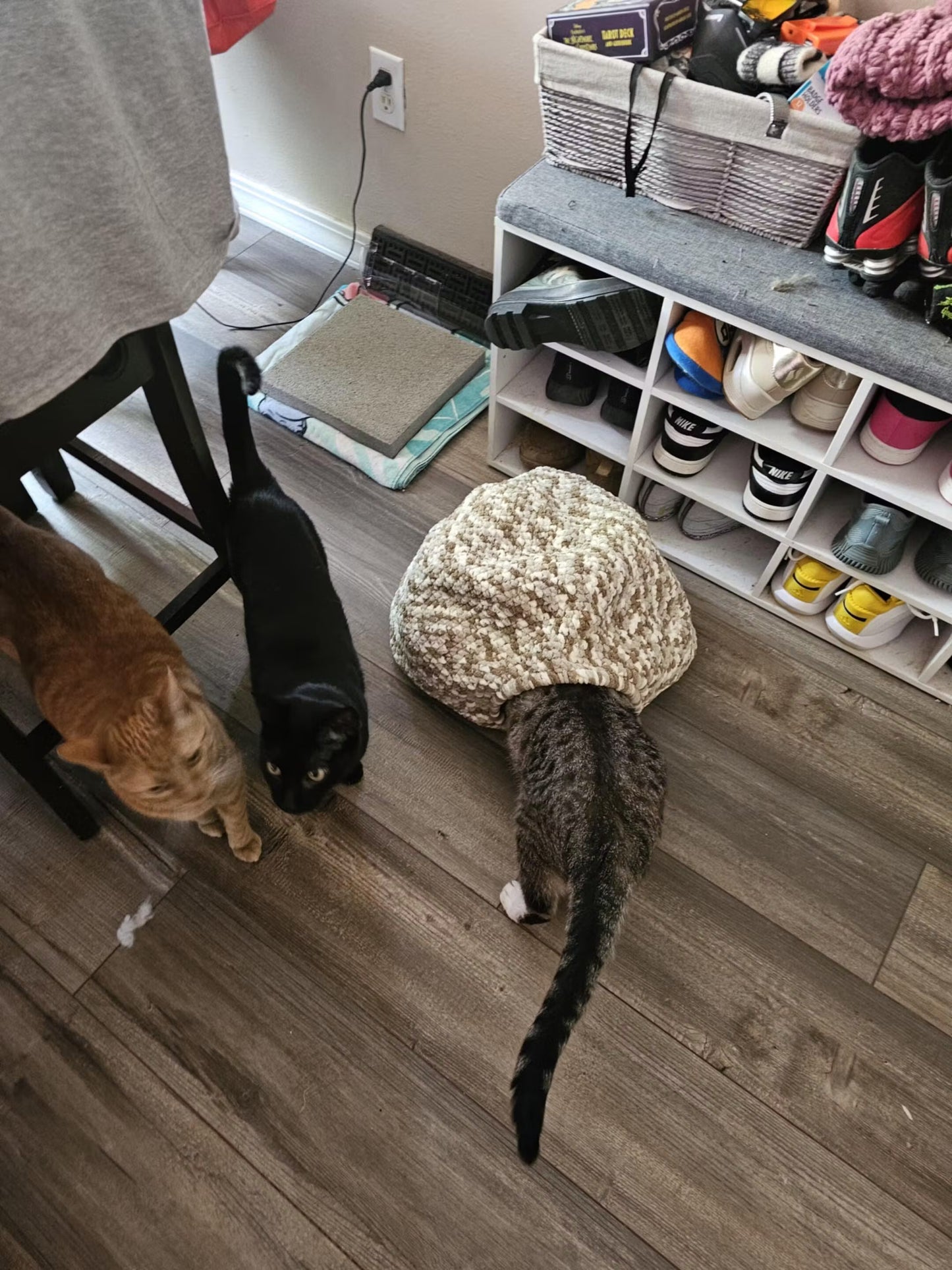 Combo 3-in-1 Cat Pod Crochet Pattern