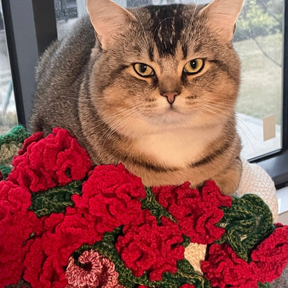 Whispers of Carnations Blanket Crochet Pattern