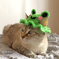 Frog Hat Crochet Pattern