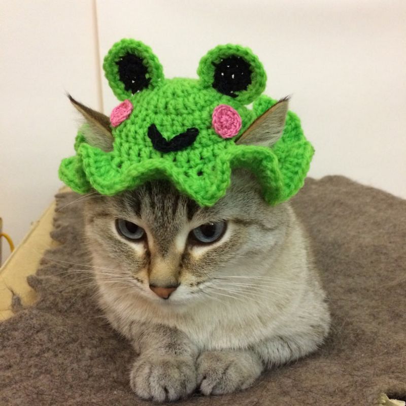 Frog Hat Crochet Pattern