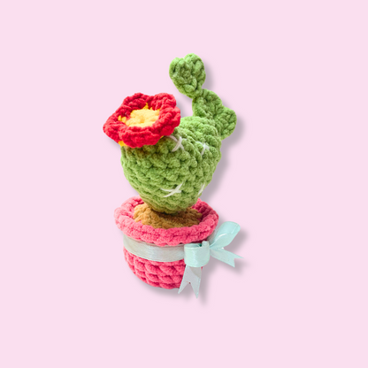 🌵💖 HeartBloom Cactus Crochet Pattern