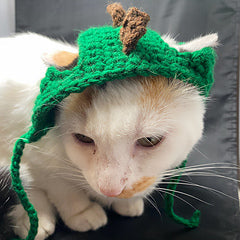 Dinosaur Cat Hat Crochet Pattern