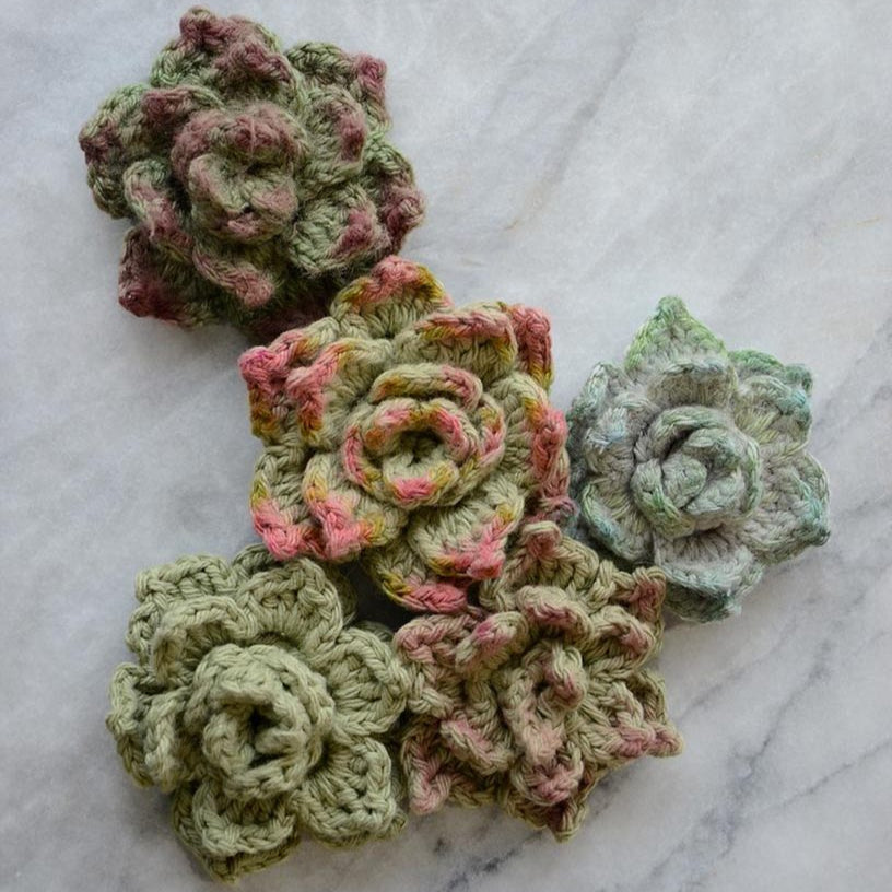 Crochet Succulents Crochet Pattern