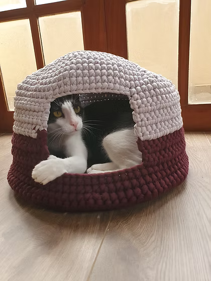 Handmade Holiday Pet Collection