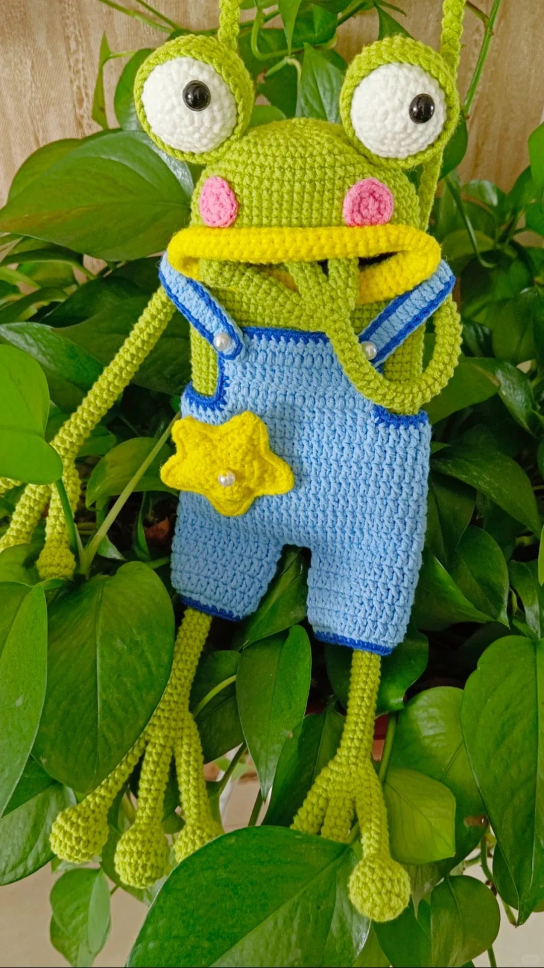 Frog bag Crochet Pattern