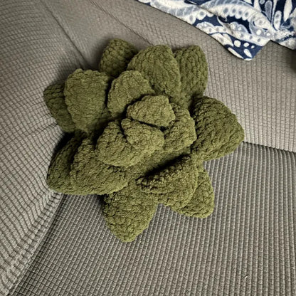 Plant Pillow Crochet Pattern