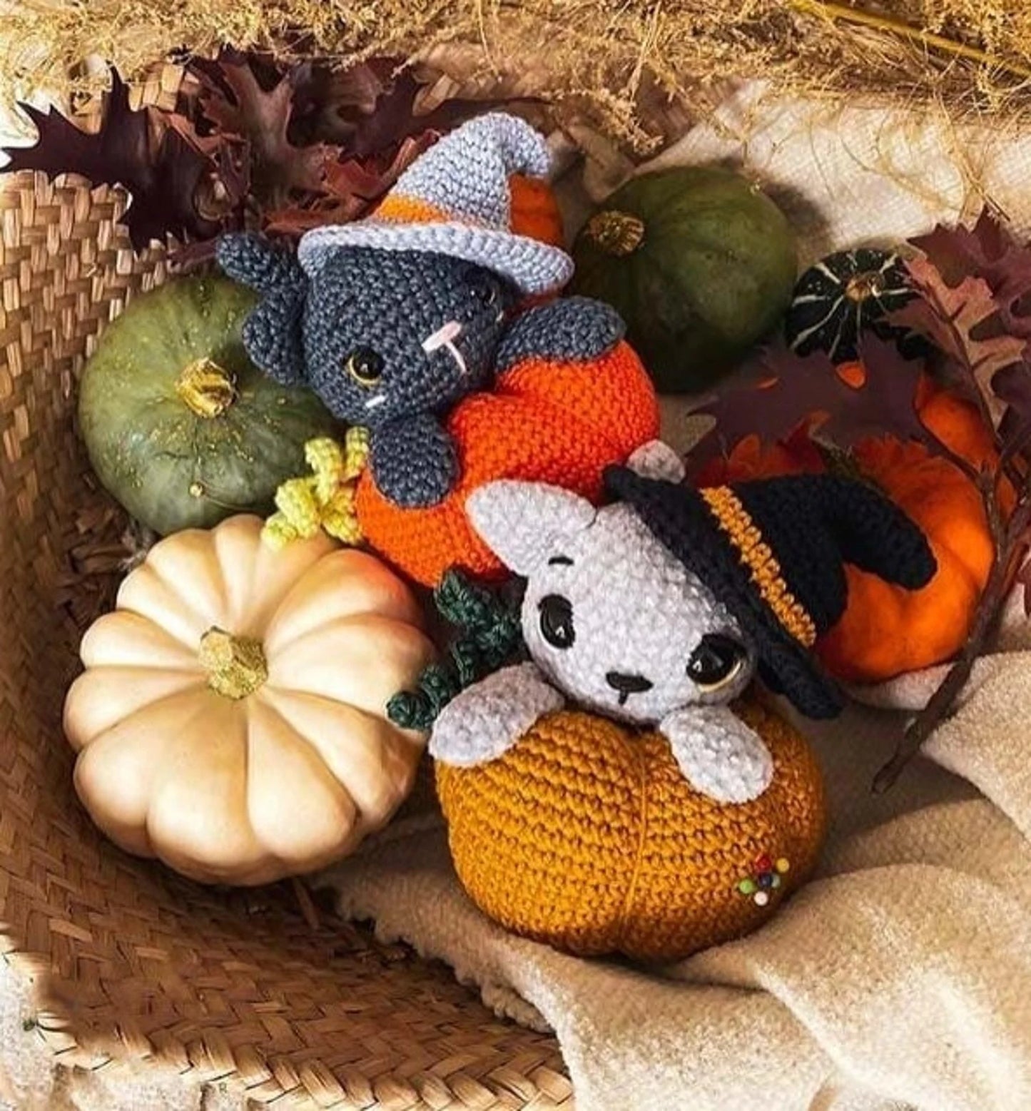 Cat in The Pumpkin Crochet Pattern Set