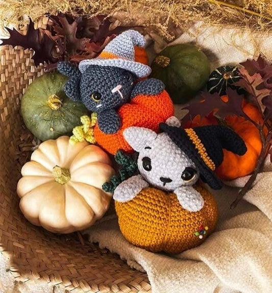 Cat in The Pumpkin Crochet Pattern Set