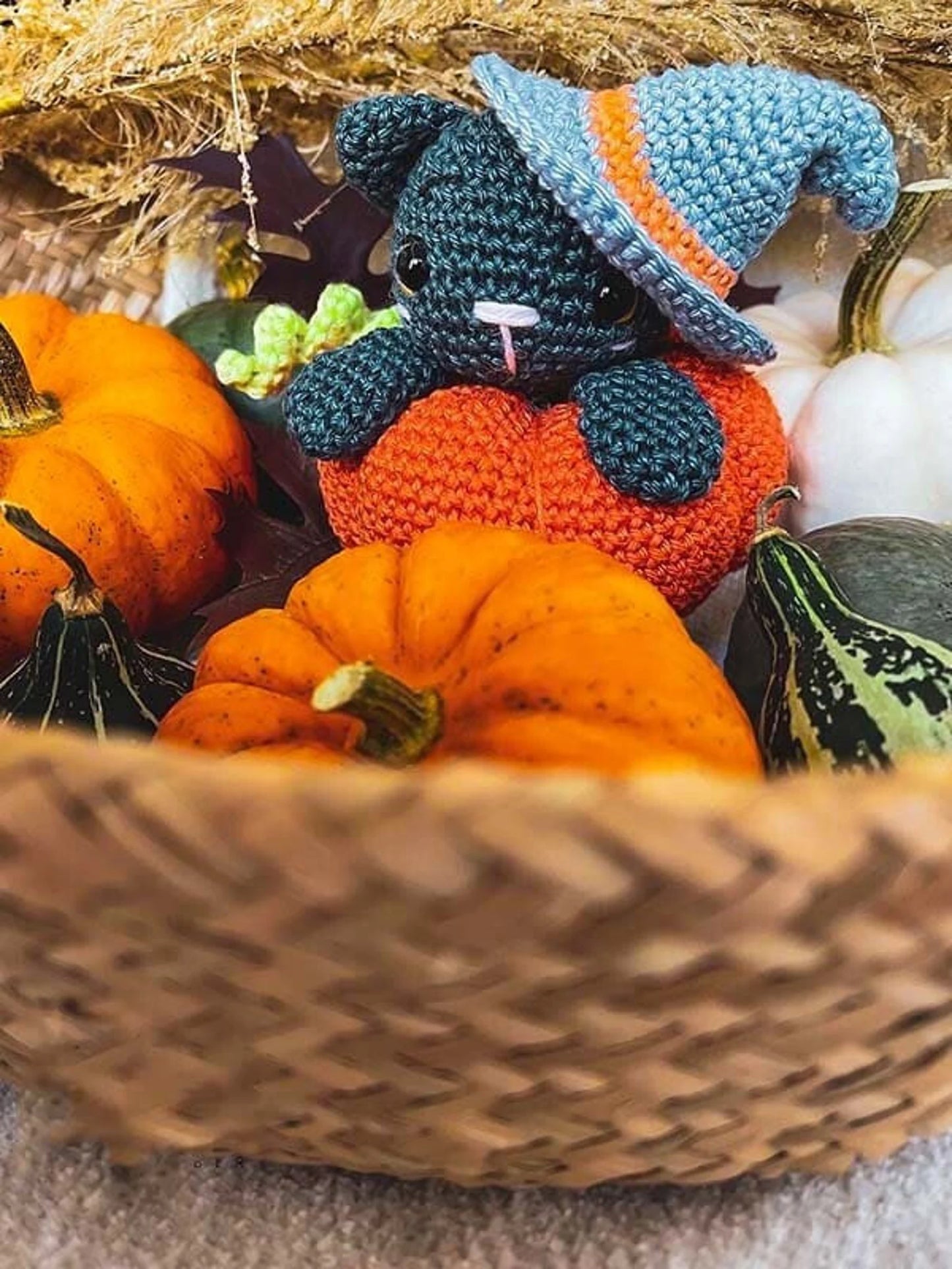 Cat in The Pumpkin Crochet Pattern Set