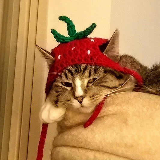 Strawberry Furbaby Hat Crochet Pattern