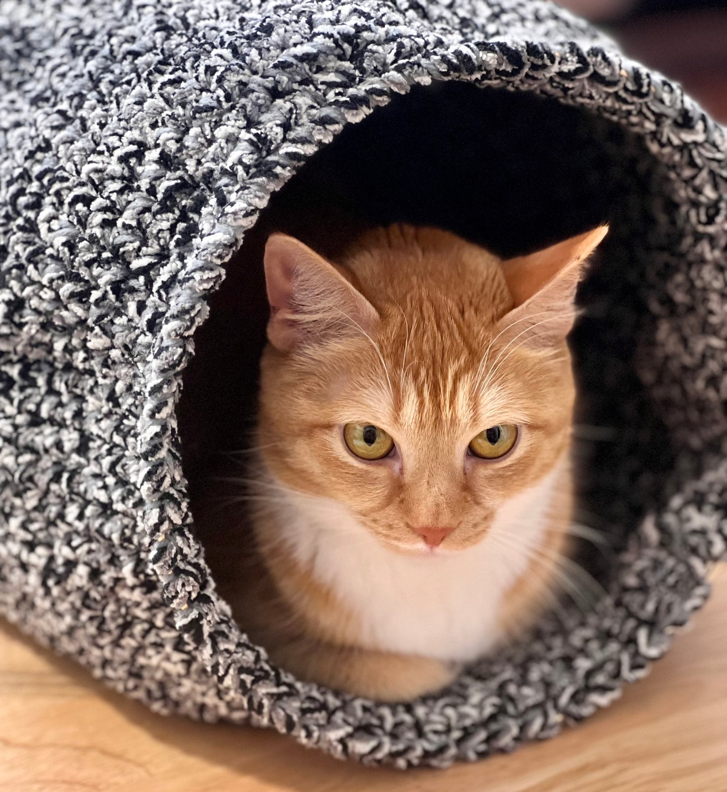 Handmade Holiday Pet Collection