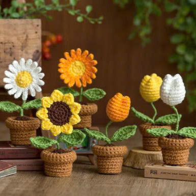 Combo 3 The Little Flower Crochet Pattern